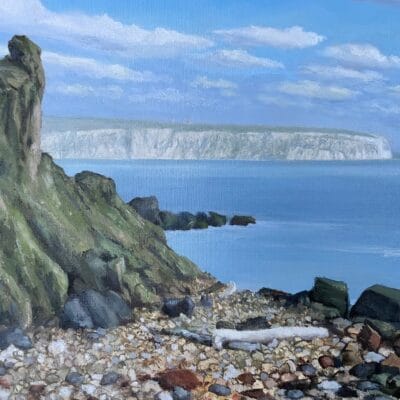 Culver from Bonchurch